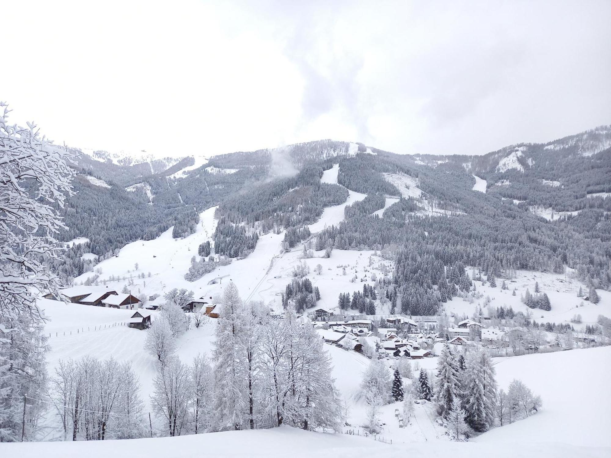 Farm stay Tischnerhof *