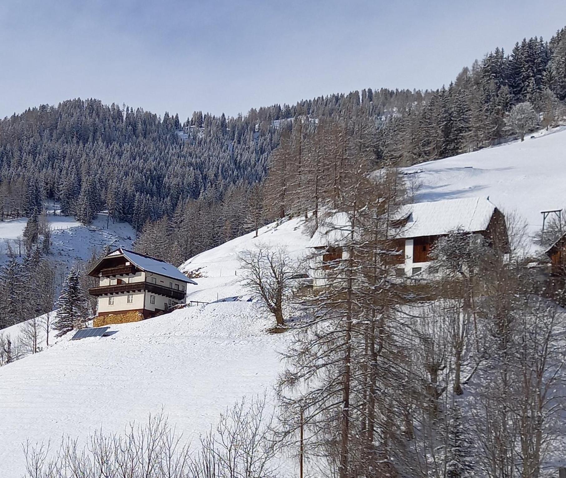 Tischnerhof Farm stay *